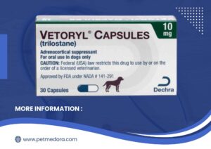 vetroyl 10 mg